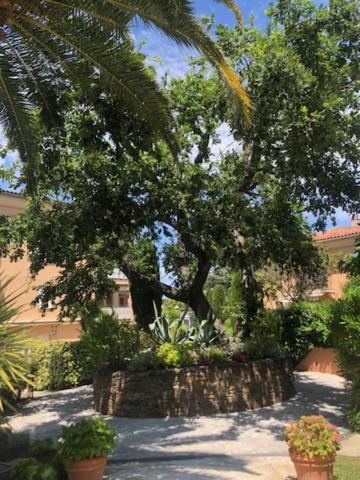 Belle Residence Au Centre De Saint Tropez Avec Piscine Et Garage Εξωτερικό φωτογραφία